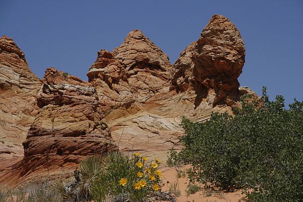 South Coyote Buttes