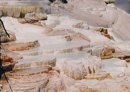 Yellowstone