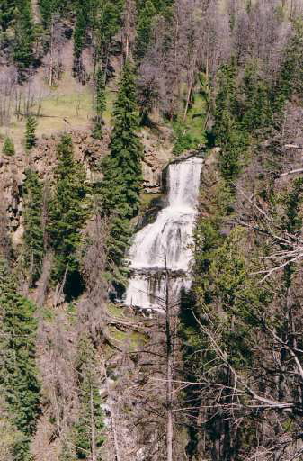 Yellowstone