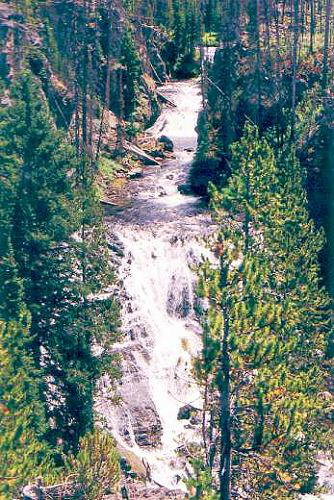 Yellowstone