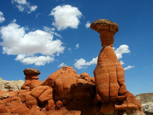 Toadstool Valley