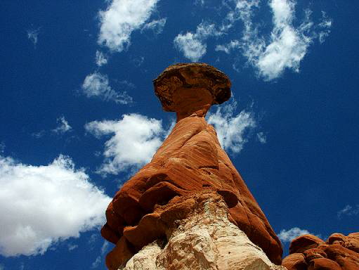 Toadstool Valley