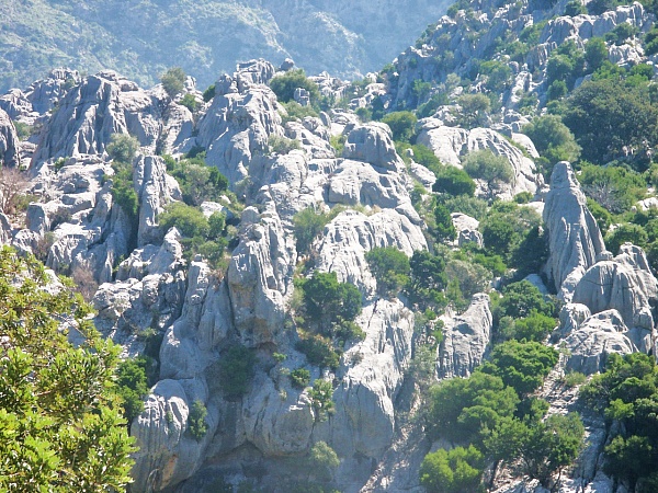 Auf dem Weg nach Pollenca