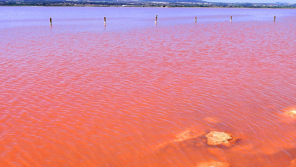 Laguna Rosa