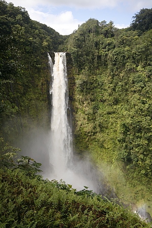 Akaka Falls 