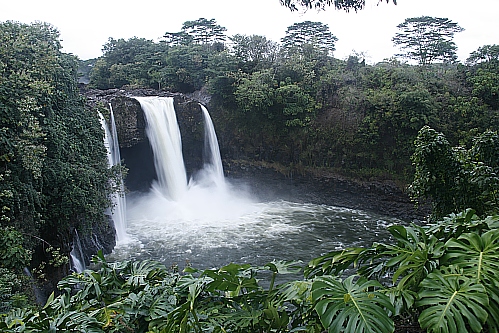 Rainbow Falls - Hilo