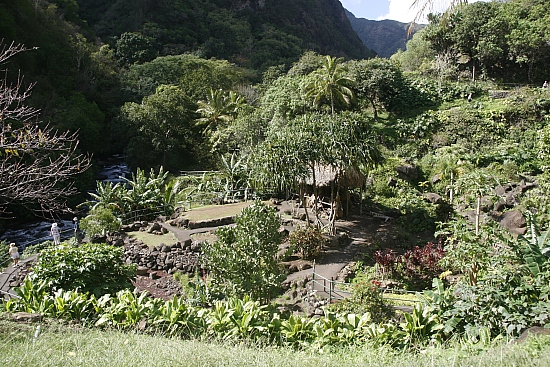 Einen kleinen Garten kann man noch besichtigen