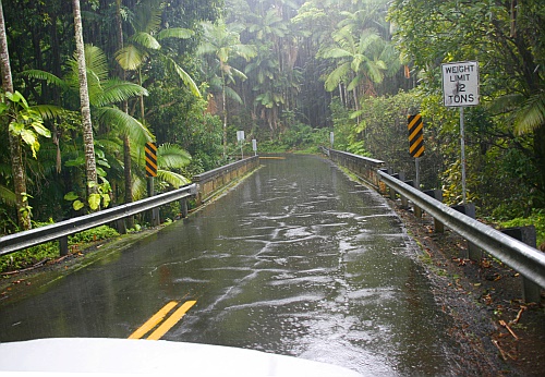 Onomea Scenic Drive