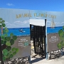 Animal Flower Cave Barbados