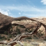 Arches Park - Landscape Arch