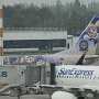 SunExpress - Boeing 737-8HC(WL) - TC-SPE "PAW Patrol: The Mighty Movie"  special colours<br />DUS - Gate B77 - 29.8.2023 - 8:37