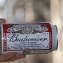 Budweiser<br />Herstellungsort: USA<br />Zutaten: Wasser, Malz, Reis, Hopfen<br />Alkoholgehalt: 5 %<br /><br />Das amerikanische Pendant zum tschechischen Budweiser schmeckt, wie fast alle Amibiere, nicht wirklich so, wie sich ein Deutscher ein Bier vorstellt, aber es ist eiskalt gut zu geniessen, ohne Neben- oder Nachgeschmack. Wie kaltes Wasser mit einem Hauch von Bier.....