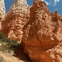 Bryce Canyon - Navajo Loop