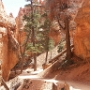 Bryce Canyon - Navajo Loop