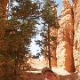 Bryce Canyon - Navajo Loop