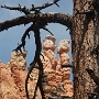 Bryce Canyon - Navajo Loop