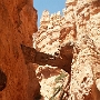 Bryce Canyon - Navajo Loop