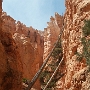 Bryce Canyon - Navajo Loop