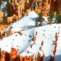 Bryce Canyon - Ponderosa Point