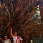 Mariposa Grove. Gigantische Sequoias im Yosemite.<br />Besucht am 30.9.2005