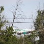 Frontier Airlines - Airbus A321-211 - N722FR “Xavier the Mountain Goat”<br />BUF - 11.8.2019 - 8:37 AM<br />Kurz vorher hatte ich eine Jetblue Maschine aus der Entfernung gesehen und wusste daher ungefähr wo die Landebahn war. An der vermuteten Stelle wartete ich mit schussbereiter Camera - und das blöde Ding setzte ca. 100 Meter entfernt hinter einem Gebüsch auf. Schade.<br />