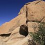 Joshua-Tree wurde 1936 zum National Monument und 1994 zum Nationalpark erklärt. Er wird jährlich von über einer Million Menschen – darunter Tausende von Felskletterern aus aller Welt – besucht.