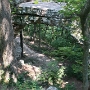 Sewanee Natural Bridge