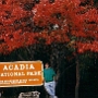 Der Acadia-Nationalpark an der Küste von Maine in Hancock County ist bekannt für seine zerklüftete Felsküste und rauhe Landschaft mit Bergen und Seen. Es ist der einzige Nationalpark in Neuengland und gehört zu den zehn am meisten besuchten Parks in den USA.<br />Der Park umfasst etwa 192 km² Küstengebiet von Maine. Der größte Teil des Parks liegt auf Mount Desert Island (etwa 122 km²), kleinere Gebiete auf der vorgelagerten Isle au Haut (11 km²) und der nahe gelegenen Schoodic Peninsula (9,2 km²) sowie auf vielen kleineren Inseln.<br /><br />Mount Desert Island ist über einen kurzen Damm mit dem Festland verbunden, die nächsten Städte sind Ellsworth und Bangor (im Penobscot County). Der Park bedeckt nur einen Teil der Insel, der Rest ist besiedelt und weist aufgrund der großartigen Umgebung sehr hohe Grundstückspreise auf.<br /><br />Im Nordosten von Mount Desert Island liegt der alte Fischereihafen Bar Harbor, Hauptort der Insel und Eingang zum Park.<br /><br />Besucht am 3.10.1997 (im Bild) und am 10.8.2017<br />