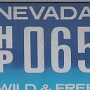 Licence Plate Nevada