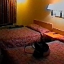 30.5.-4.6.2000 - Motel 6 Orlando/FL - $221,95 = 470,43 DM für 5 Nächte - Zimmer 213