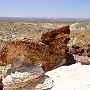 Blick auf die White Rocks bis zum Highway 89