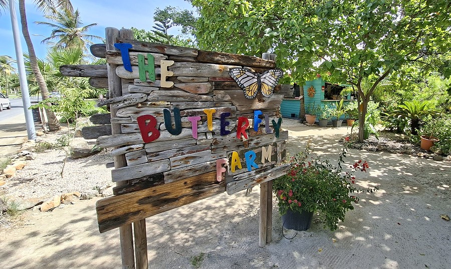 Butterfly Farm Aruba