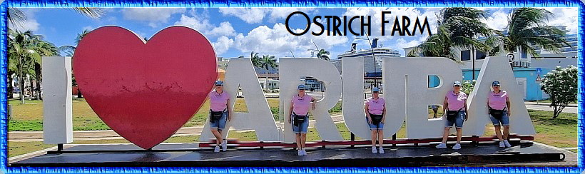 Ostrich Farm