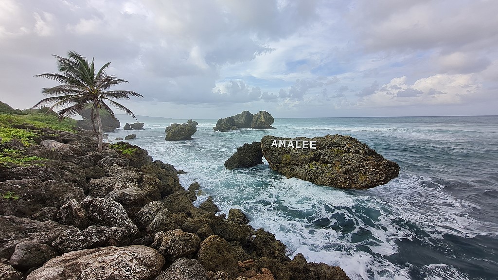 AMALEE Barbados