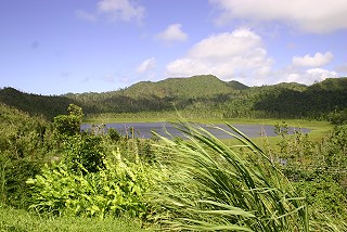 Grand Etang Lake