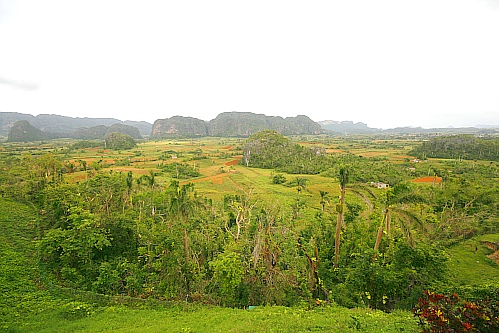 Valle de Viales