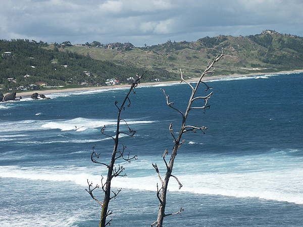 Bathsheba