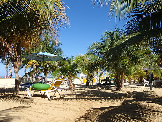 Rooms on the Beach Negril - Garten