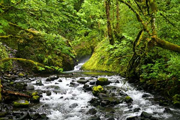 Bridal Veil Falls