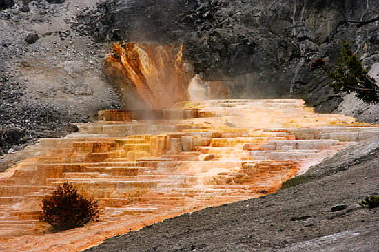 Mammoth Hot Springs