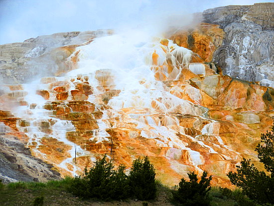 Mammoth Hot Springs