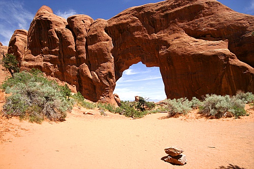 Arches National Park - Pine Tree Arch