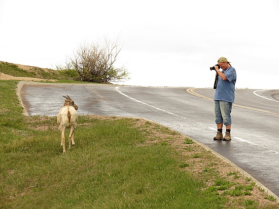 Tierfotografin Uli in den Badlands