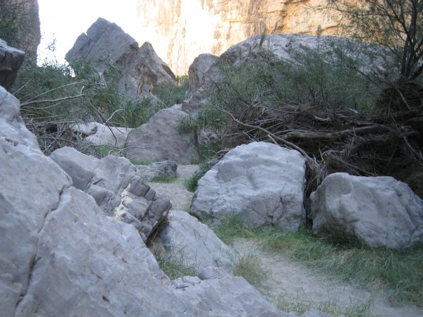 Big Bend NP