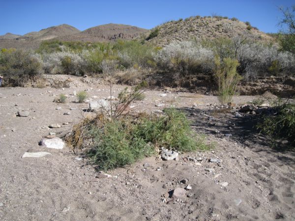 Big Bend NP