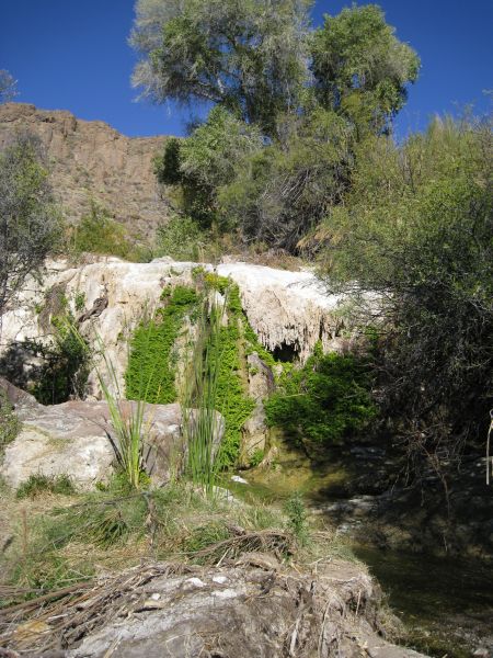 Big Bend NP