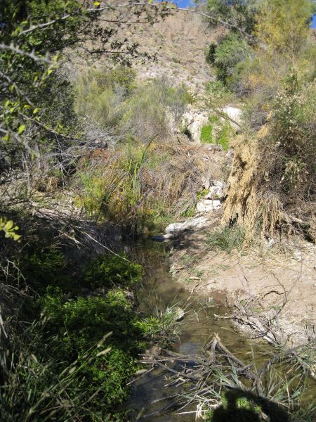 Big Bend NP