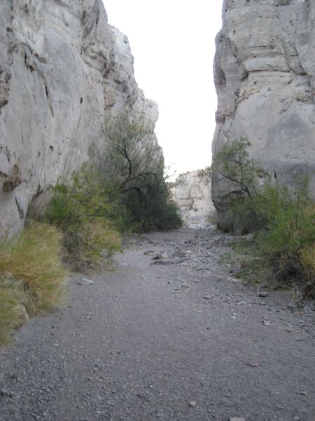 Big Bend NP