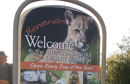 Arizona-Sonora Desert Museum