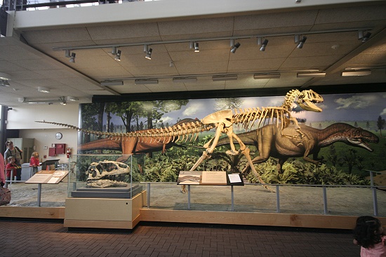 Dinosaur National Monument - Fossil Bone Quarry